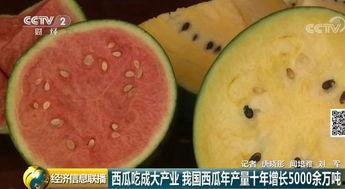 中国群众吃瓜