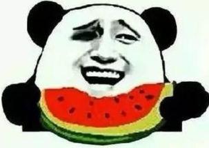 狗头版吃瓜群众,揭秘网络热议背后的真实故事